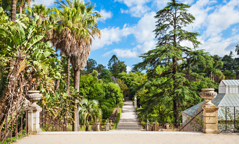 Jardim Botânico de Coimbra