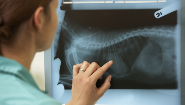 Formação Avançada Modular de Radiologia Torácica e Tomografia Computorizada