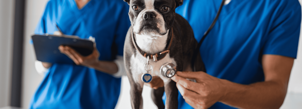 Cardiologia e Sistema Respiratório 4ª edi