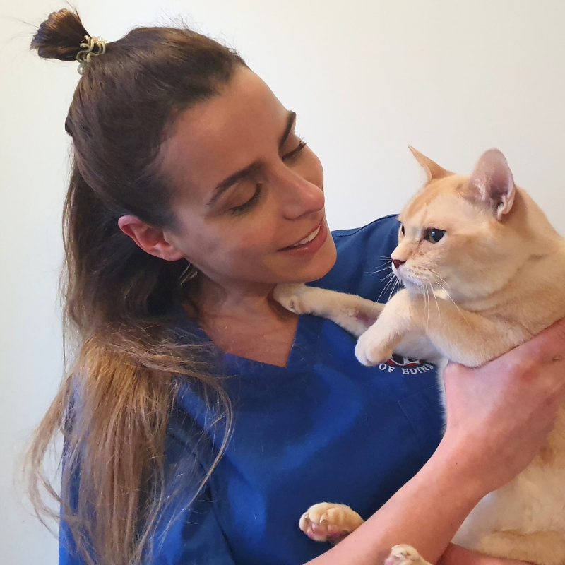 Carolina Albuquerque