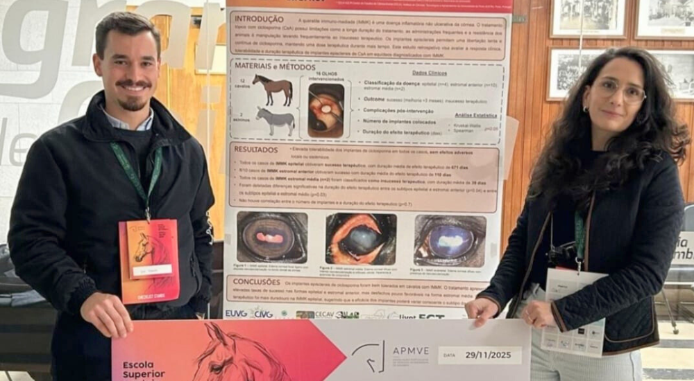 1000x550 px notícias site