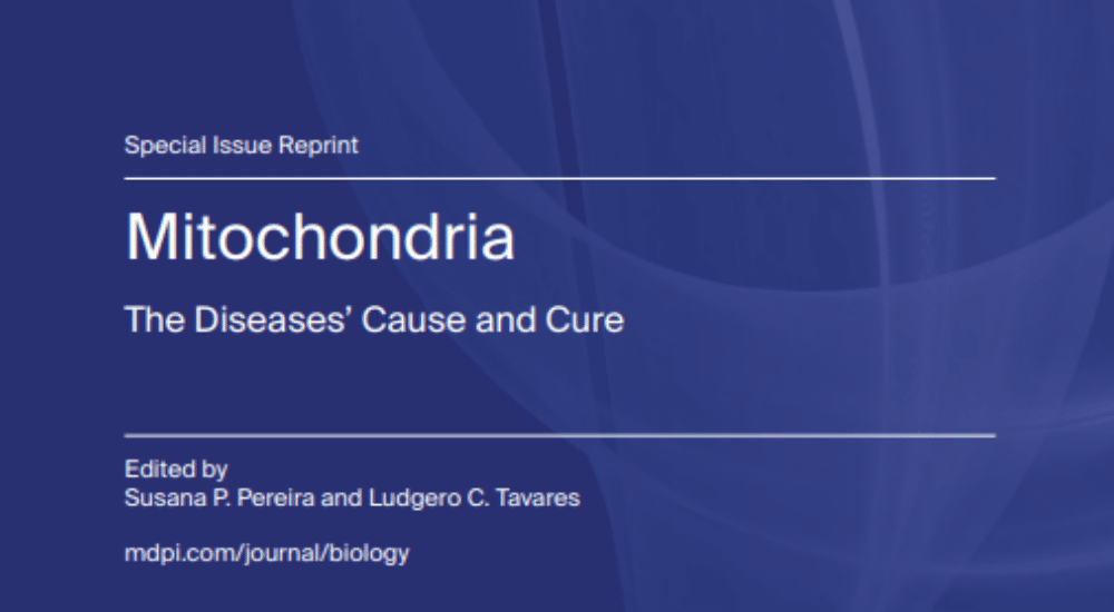 1000x550 px notícias site